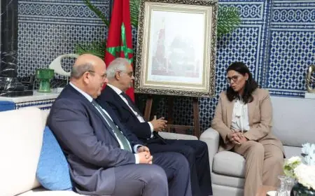 المنصوري تواصل مشاورات تشكيل الحكومة بلقاء قيادات حزب الاستقلال