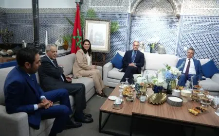 المنصوري تلتقي أوزين ولعنصر في إطار مشاورات تشكيل الحكومة الجديدة
