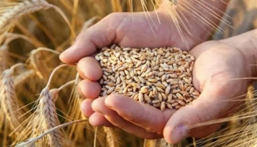 دراسة تحذر من تهديدات كارثية قد تعرّض الأمن الغذائي العالمي للخطر