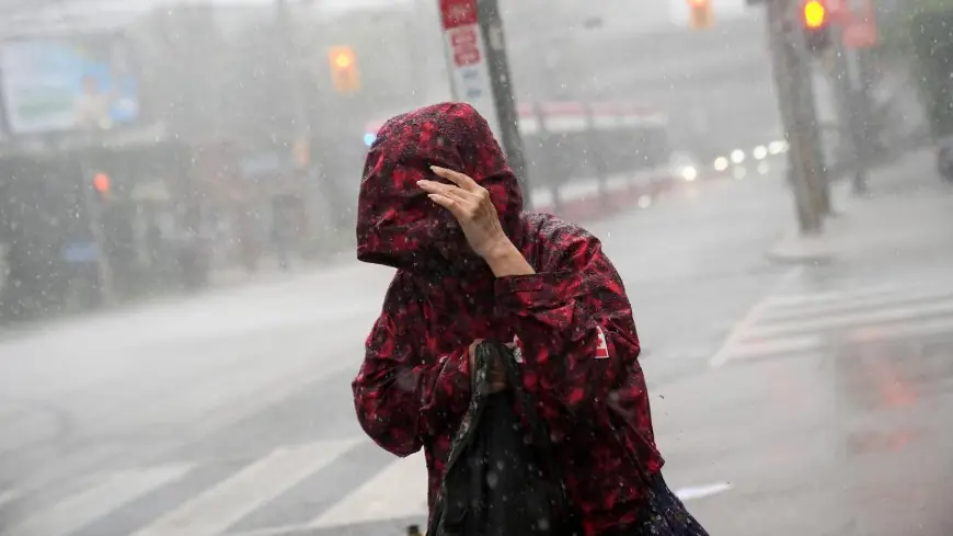 Une tempête d’une rare violence paralyse Toronto et plonge 65 000 personnes dans le noir