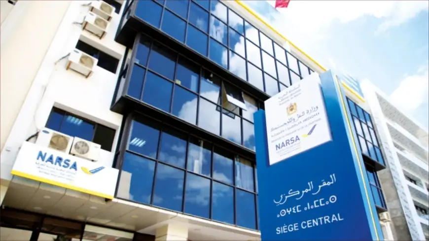 نارسا تكشف حقيقة موعد استبدال صفائح تسجيل المركبات بالمغرب