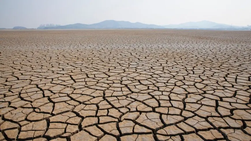 Le projet européen EWALD teste au Maroc son outil anti-désertification par satellite