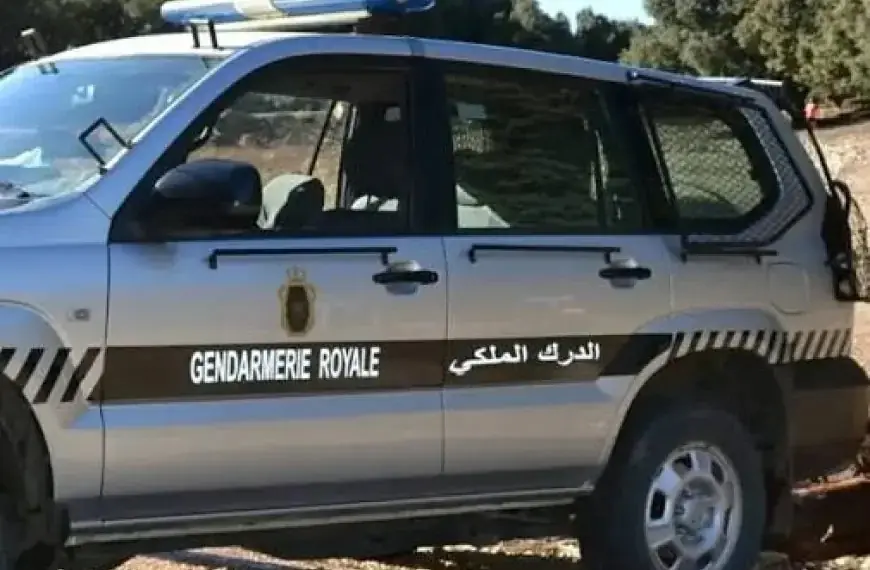 درك تيزنيت يفكك مصنعا سريا لإنتاج "الماحيا" ويوقف المشتبه فيه الرئيسي