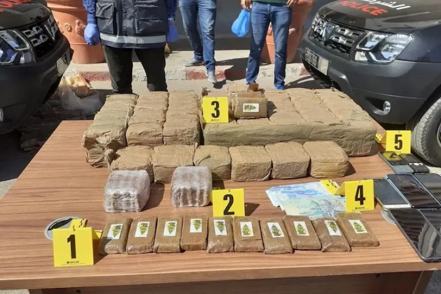 إحباط محاولة تهريب 238 كيلوغراما من مخدر الشيرا بميناء طنجة المتوسط