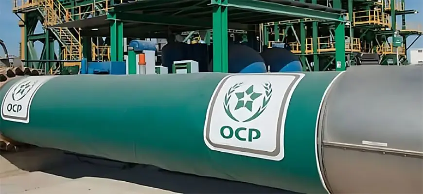OCP : une rentabilité sous pression au premier semestre 2026 mais des fondamentaux toujours solides
