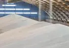 Phosphates : OCP et le groupe américain Koch renforcent leur alliance à Jorf avec une deuxième coentreprise