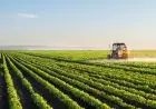 Maroc-USA : vers une coopération accrue dans la recherche agronomique