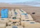 الدرك الملكي بأسفي يحبط محاولة تهريب دولي لطن ونصف من الشيرا