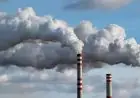 Décarbonation : Le patronat marocain prépare l'industrie au futur marché carbone