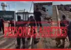 أكادير.. إحالة شخصين على النيابة العامة بعد تعنيف قاصر وتحريض كلب على الأطفال