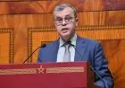ملال لـ“تيليغراف.ما”: "الأغلبية مطالبة بمراقبة الحكومة واستعادة البرلمان دوره الدستوري"