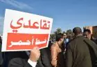 رجاء لـ"تيليغراف.ما" : "وعود إصلاح التقاعد في البرنامج الحكومي تحتاج إلى كلفة مالية" (حوار)