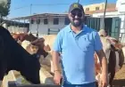 وحتيتا لـ"تيليغراف.ما" : "اللامركزية رافعة لتعزيز السيادة الغذائية وتقليص تبعية المغرب لاستيراد اللحوم الحمراء"