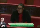 فيطح تدافع عن دستورية إيداع مشروع مالية 2027 قبل تنصيب الحكومة