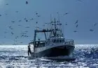 Pêche en Atlantique marocain : La Russie vise 100.000 tonnes de captures par an