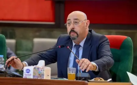 منير ليموري يمثل أمام الوكيل العام بعد انتهاء الحراسة النظرية