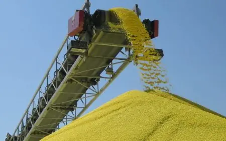 واردات المغرب من الكبريت تقفز إلى 27,2 مليار درهم خلال 8 أشهر