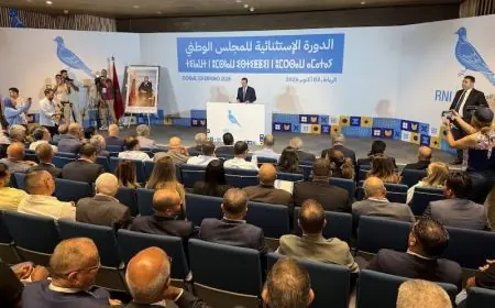 بعد تراجع النتائج.. شوكي يكشف توجهات الأحرار بشأن المرحلة السياسية المقبلة