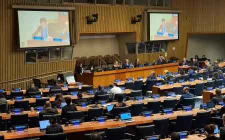 4e Commission de l'ONU : Bahreïn, au nom du CCG, appuie le plan d'autonomie marocain
