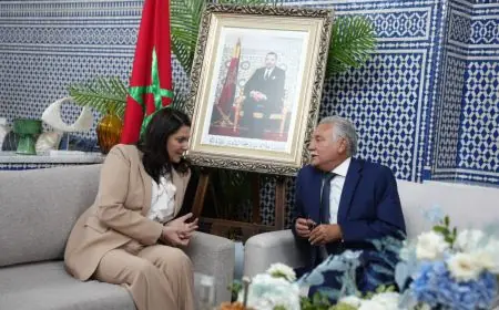 لقاء المنصوري وبنعبد الله يمهد الطريق أمام "الكتاب" لدخول الحكومة