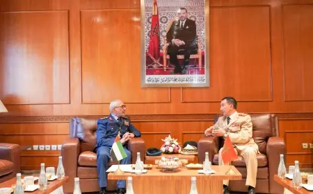 بتعليمات ملكية.. الفريق أول محمد بريظ يستقبل رئيس أركان القوات المسلحة الإماراتية