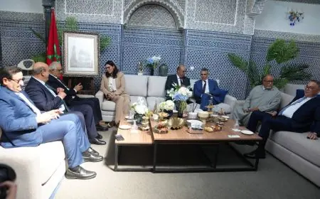 المنصوري تتقدم قيادات “البام” بعد لقاء بركة واختتام اليوم الثامن من مشاورات تشكيل الحكومة