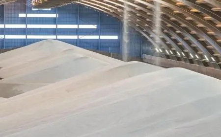 Phosphates : OCP et le groupe américain Koch renforcent leur alliance à Jorf avec une deuxième coentreprise