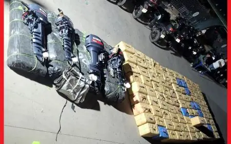 Port Tanger Med : saisie de plus de 3,5 tonnes de chira dans un camion de produits agricoles