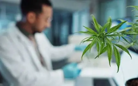 CPHI Milan : le Maroc expose un traitement anti-épilepsie à base de cannabis
