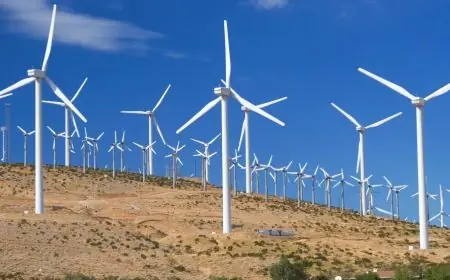 بقدرة 2.2 غيغاواط.. المغرب ثالث أكبر قوة في طاقة الرياح بإفريقيا