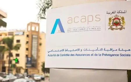 هيئة مراقبة التأمينات تطلق منصة رقمية جديدة لتسهيل معالجة شكايات المؤمن لهم