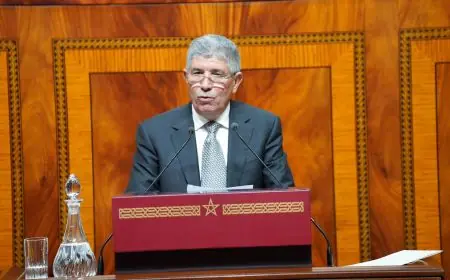 SM le Roi Mohammed VI félicite Ahmed Touizi suite à son élection à la présidence de la Chambre des Représentants