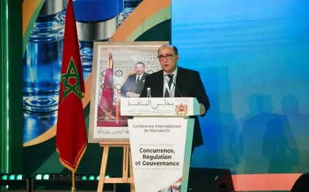 بوبريك يؤكد استفادة 25 مليون مغربي من التغطية الصحية ويدعو لتحسين جودة الخدمات