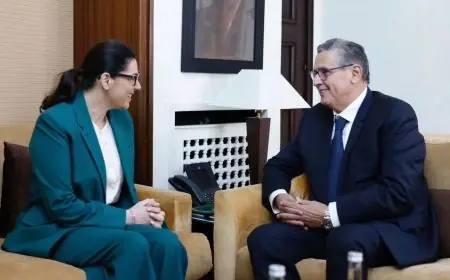 عزيز أخنوش: ضميرنا مرتاح لأننا اشتغلنا لمصلحة الوطن بتفاني وإخلاص تام