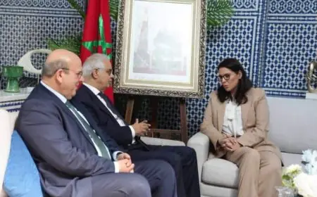 ما مسؤولية بركة والمنصوري في إعفاء ماديحة خيير؟