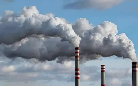Décarbonation : Le patronat marocain prépare l'industrie au futur marché carbone