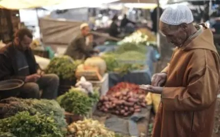 القفة تحت ضغط الأسعار.. من إرث الحكومة السابقة إلى رهانات المنصوري