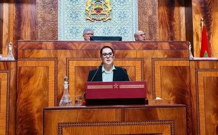 المنصوري: سنقوم بتجريم الإثراء غير المشروع ومحاربة تضارب المصالح وتشديد التصريح بالممتلكات