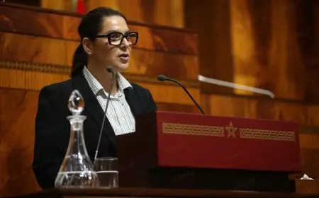 المنصوري: الصحراء المغربية في صدارة أولويات الحكومة
