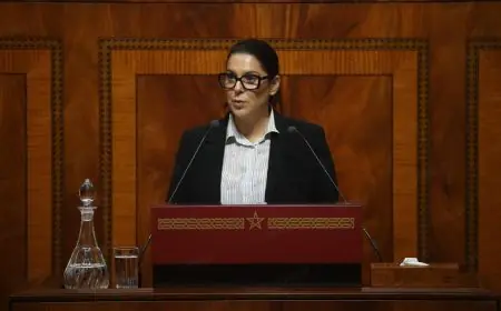 المنصوري: الولاية الحكومية محطة فاصلة لمواصلة المسار الإصلاحي الذي يقوده الملك