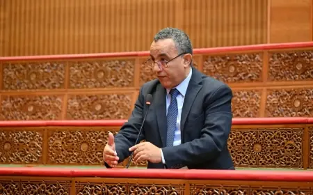 نازهي ينتقد غياب آجال تنفيذ البرنامج الحكومي ويحذر من تحميل الأجراء كلفة إصلاح التقاعد