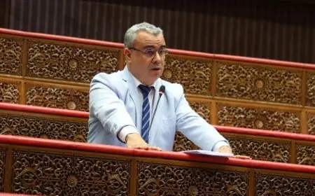 السطي يطالب بتعجيل الزيادة في الدعم والأجور وإلغاء تسقيف سن التوظيف