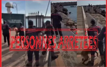 أكادير.. إحالة شخصين على النيابة العامة بعد تعنيف قاصر وتحريض كلب على الأطفال