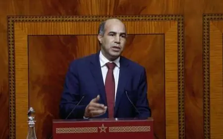 صابري: "لا معنى لنمو لا يخلق فرص الشغل ولا لاستثمار لا يقلص الفوارق"