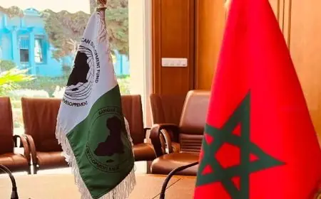 BAD : Le Maroc obtient un prêt de 487 millions de dollars pour accélérer sa transformation économique