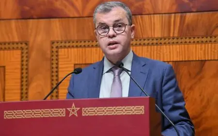 ملال لـ“تيليغراف.ما”: "الأغلبية مطالبة بمراقبة الحكومة واستعادة البرلمان دوره الدستوري"