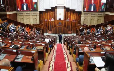Le programme gouvernemental d'El Mansouri adopté par 204 voix contre 127