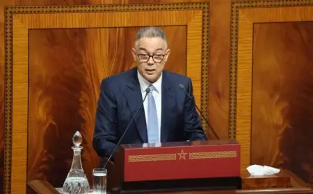 لقجع يرفض اتهام الحكومة بالتراجع عن وعودها الانتخابية قبل مناقشة مالية 2027