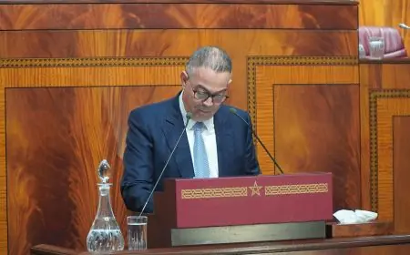 لقجع: مجانية فاتورة الكهرباء التي تقل عن 100 درهم تدخل حيز التنفيذ في يناير 2027