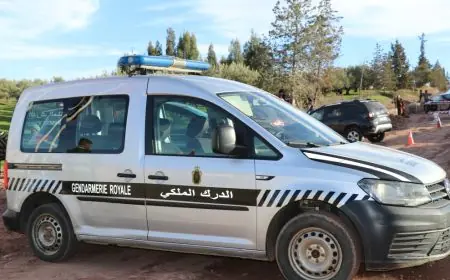 الدرك الملكي يحجز 227,6 كيلوغراماً من اللحوم مجهولة المصدر في طنجة
